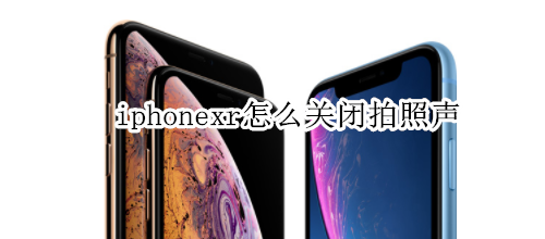 iphonexr怎么關(guān)閉拍照聲