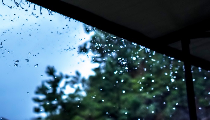 入伏下雨有什么说法 伏雨是什么意思