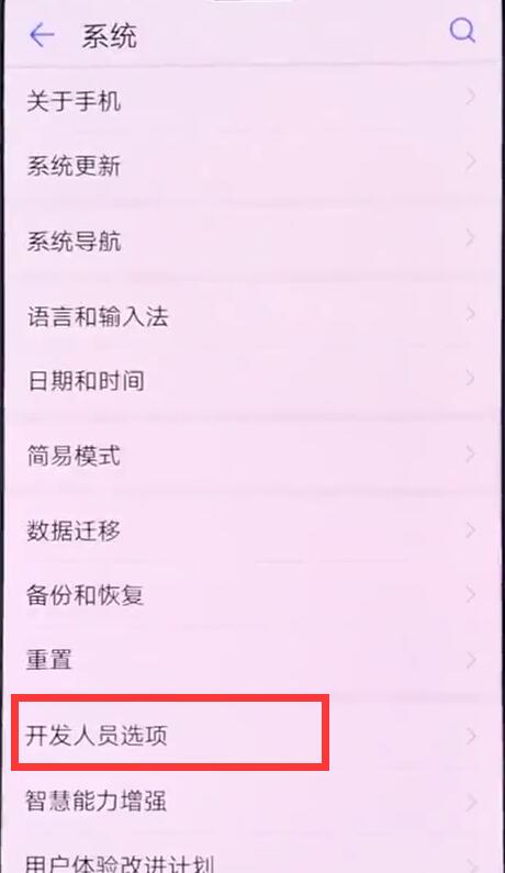 华为nova3怎么打开开发者选项