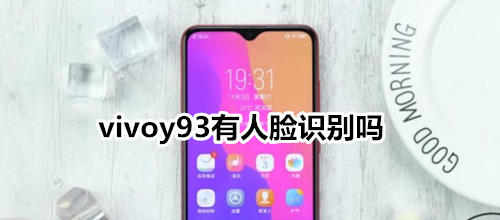 vivoy93有人臉識別嗎