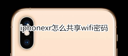 iphonexr怎么共享wifi密码