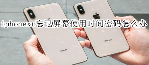 iphonexr忘記屏幕使用時(shí)間密碼怎么辦