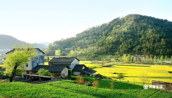 归园田居高一必修一原文 归园田居其一陶渊明原文