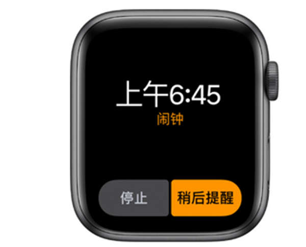 Apple Watch Series 3怎么设置闹钟打开稍后提醒