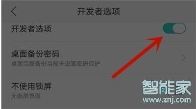 oppor17怎么关闭开发者模式