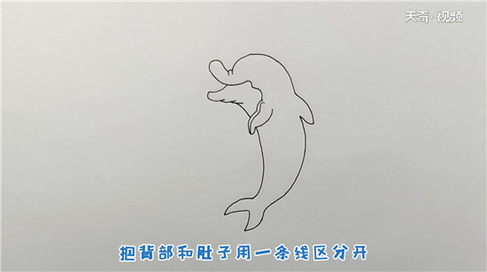 海豚简笔画