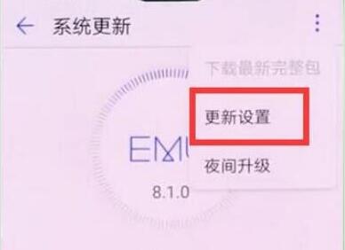 榮耀8x怎么關(guān)閉系統(tǒng)自動(dòng)更新