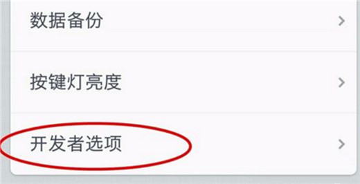 坚果pro2s开发者选项在哪设置