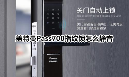 蓋特曼Pass700指紋鎖怎么靜音