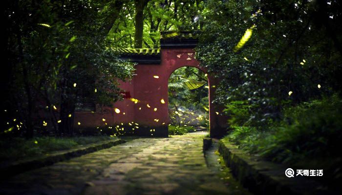 夜宿山寺描写的时间是 夜宿山寺描写的时间是什么时间