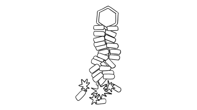 新春红色鞭炮简笔画