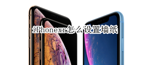 iPhonexr怎么設(shè)置墻紙