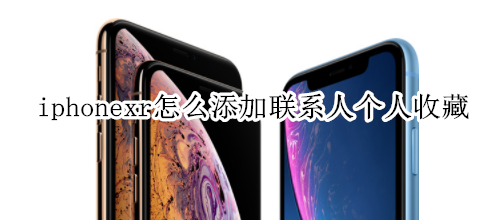 iphonexr怎么添加联系人个人收藏