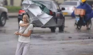 台风天气为什么不能吃海鲜 一定要注意了