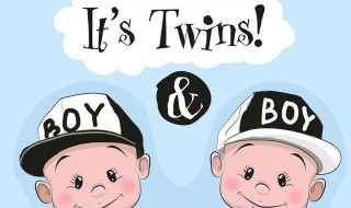 twins是什么意思 怎么理解twins