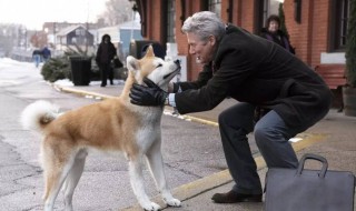 忠犬八公的故事简介 忠犬八公的故事是怎样的