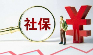 企业社保怎么查询 企业社保如何查询