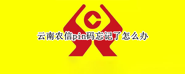 云南农信pin码忘记了怎么办（农信社pin码忘记了怎么办）