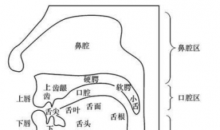 發(fā)音方法 英語字母發(fā)音方法