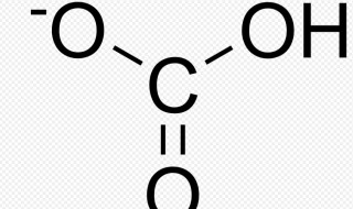 碳酸氢钠是酸性还是碱性 碳酸氢钠显碱性