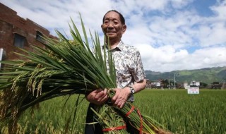 袁隆平是哪里的人啊 袁隆平祖籍哪里