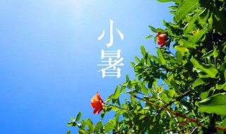 2021小暑节气祝福 2021小暑节气祝福简单介绍