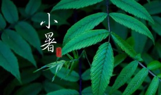 小暑节气警惕这些高发疾病 小暑节气需要警惕的三种高发疾病