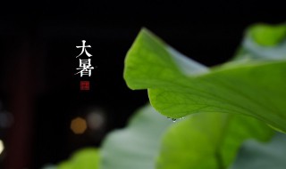 24節(jié)氣大暑食療養(yǎng)生 大暑節(jié)氣養(yǎng)生吃什么