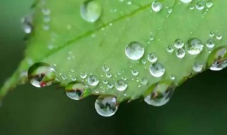 雨露之恩意思 雨露之恩简单释义