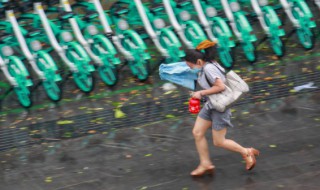 12级台风有多大威力 12级台风解释