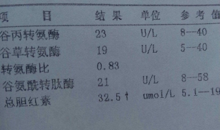 总胆红素偏高怎么办 ，推荐以下食疗