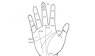手相怎么看财运 手相到底准不准