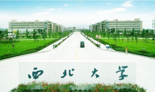 西北大学之学习篇，学姐的亲身经历带你了解西北大学