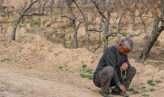 守村人是什么意思 守村人是誰