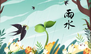 雨水节气是几九 雨水节气介绍