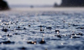 雨水节气不能回娘家吗 雨水节气不可以回娘家吗