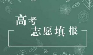 高考志愿填報 應該如何做呢？