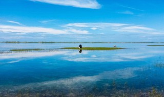 中国最大咸水湖 中国最大咸水湖介绍