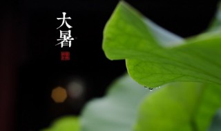 大暑节气发朋友圈怎么发 大暑节气发朋友圈说说