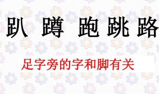 足字旁和什么有关 足的本义是什么