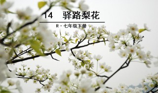 驿路梨花分段概括 驿路梨花分段概括内容