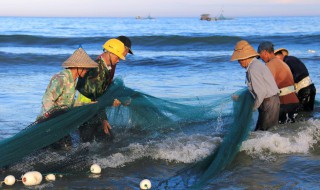 夢(mèng)見撒網(wǎng)捕魚什么意思 夢(mèng)見撒網(wǎng)捕魚的寓意