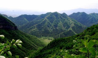 太行黄花山在哪里 太行山东麓林虑山中