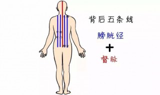 撞墙功的功效与作用 快来了解吧