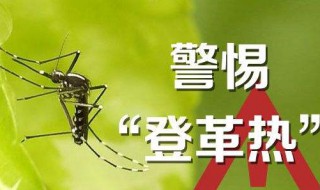 登革热能自愈吗 得了登革热不吃药可以好吗