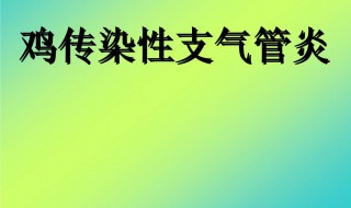 鸡支气管炎怎么治疗 下面给大家具体介绍