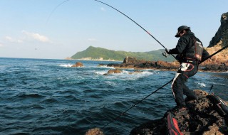 海钓沉底钓鱼技巧 让你过足海钓瘾