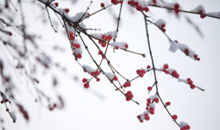 发朋友圈看雪的句子 下雪适合发朋友圈的说说