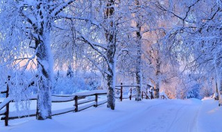 帶雪的唯美短句 關(guān)于雪的經(jīng)典唯美句子