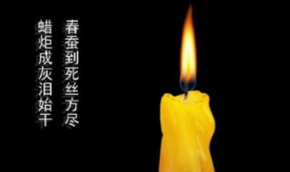 春蚕到死丝方尽蜡炬成灰泪始干的意思 原文是什么